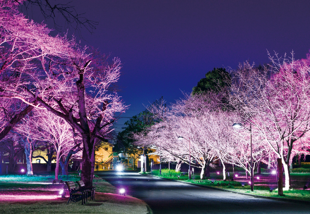 小金井公園の画像5
