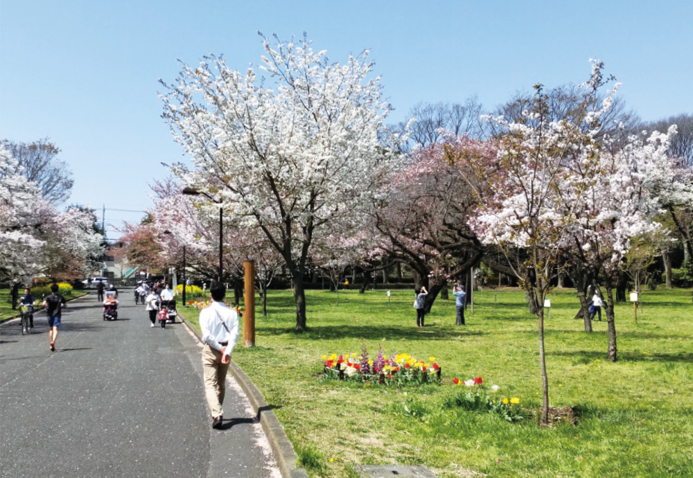 小金井公園の画像6