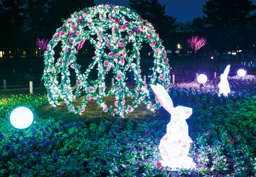 小金井公園の画像7