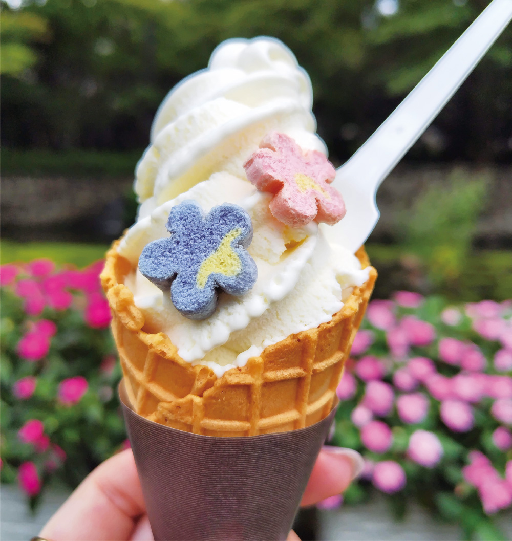 花と光のムーブメントコラボ商品「花のソフトクリーム」