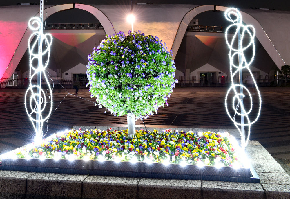 駒沢オリンピック公園の画像3