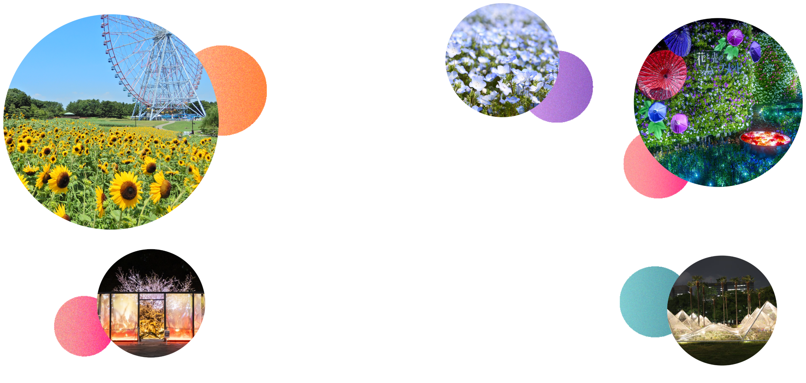 花と光のムーブメント