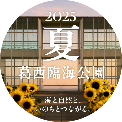 花と光のムーブメント|葛西臨海公園