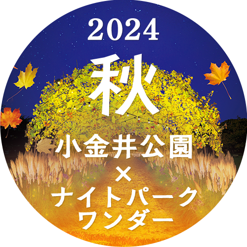 小金井公園　ナイトパークワンダー