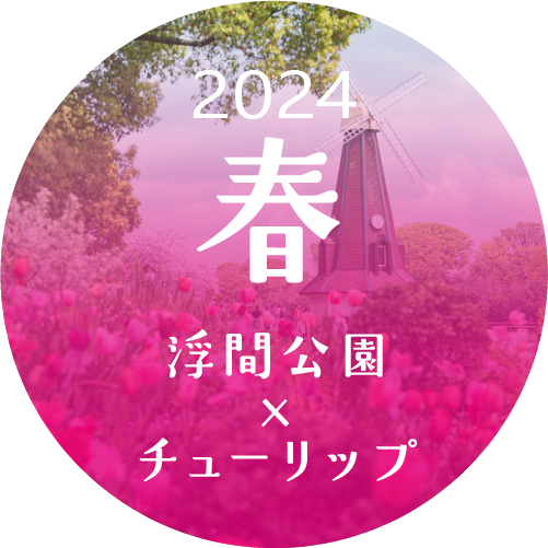 浮間公園　チューリップ