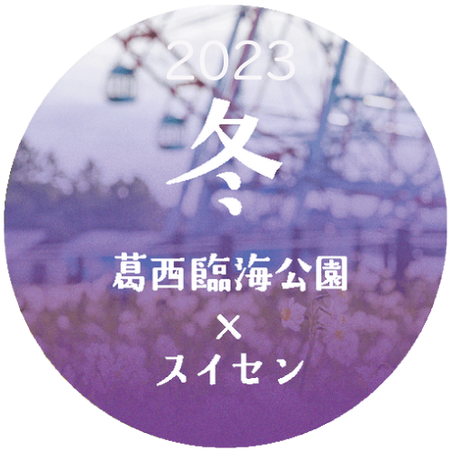 葛西臨海公園 スイセン 2022冬