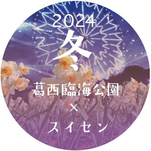葛西臨海公園 スイセン