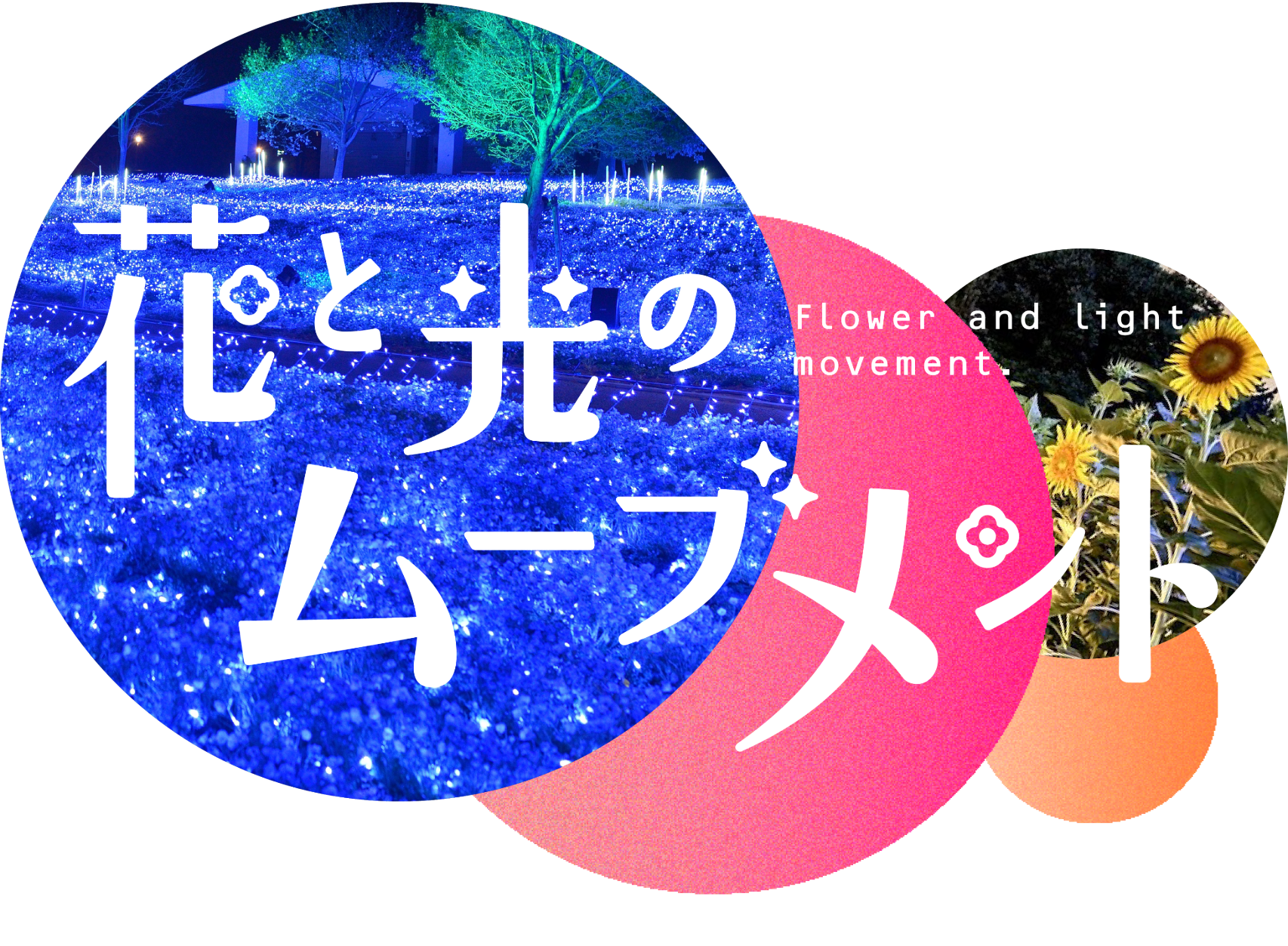 花と光のムーブメント