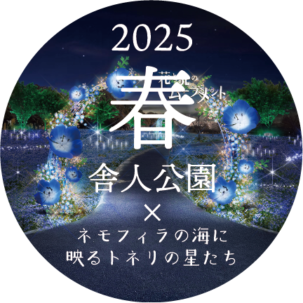 花と光のムーブメント|舎人公園