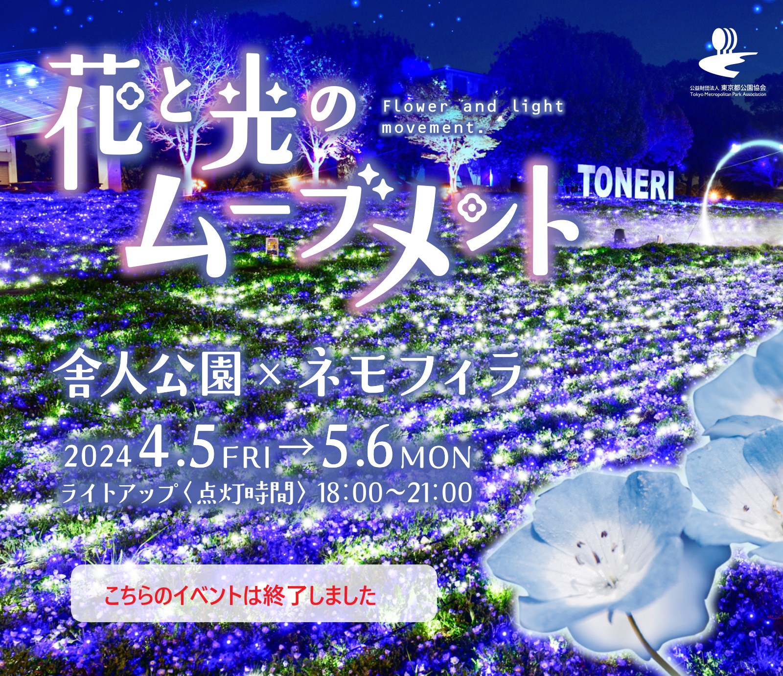 花と光のムーブメント|舎人公園 × ネモフィラ