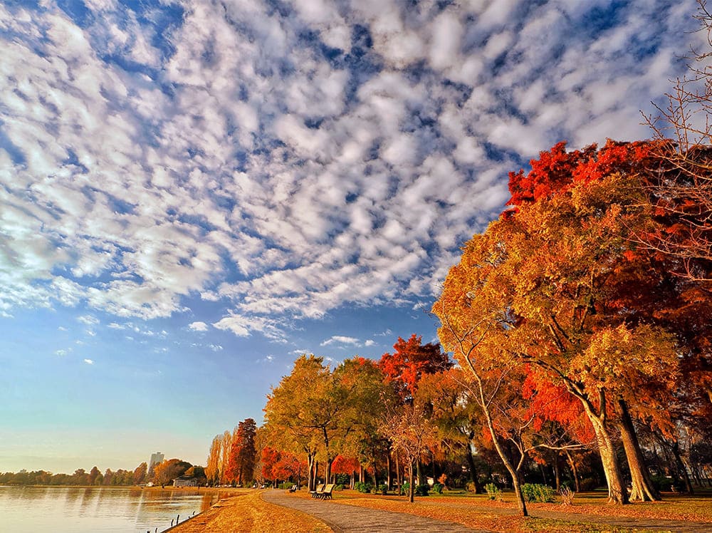 水元公園