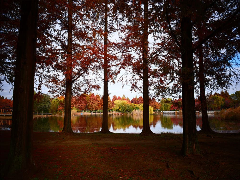 舎人公園