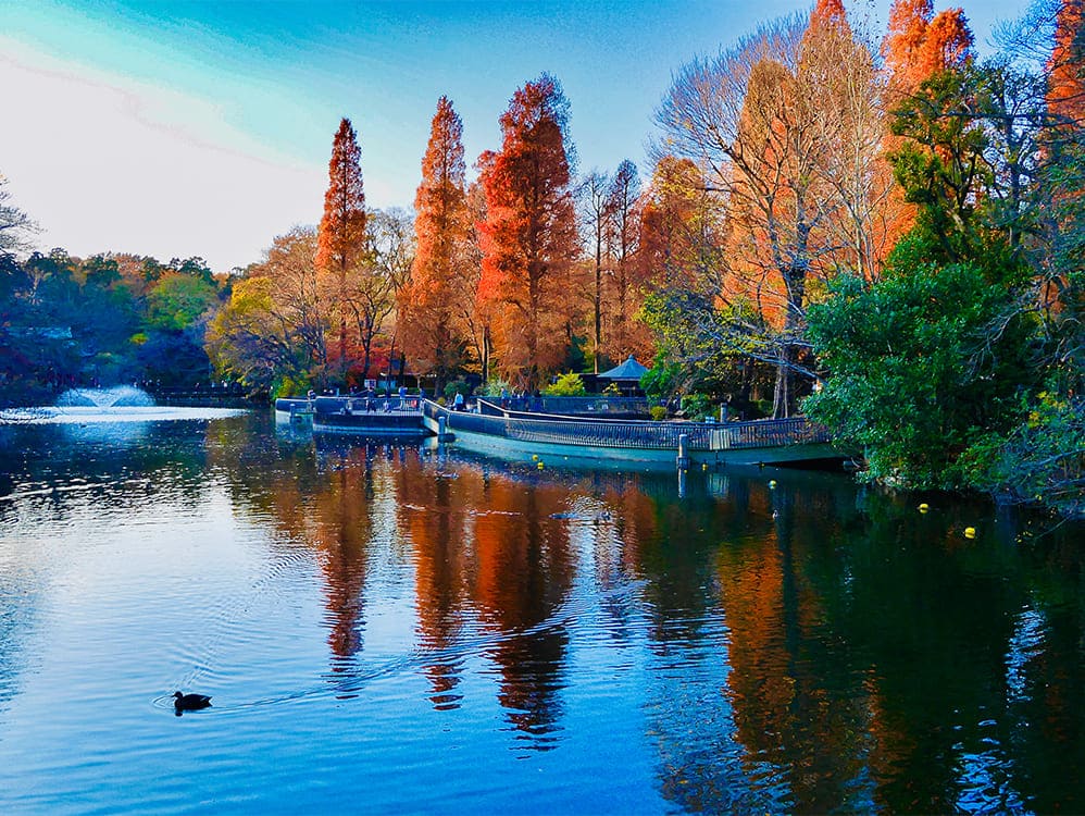 井の頭恩賜公園