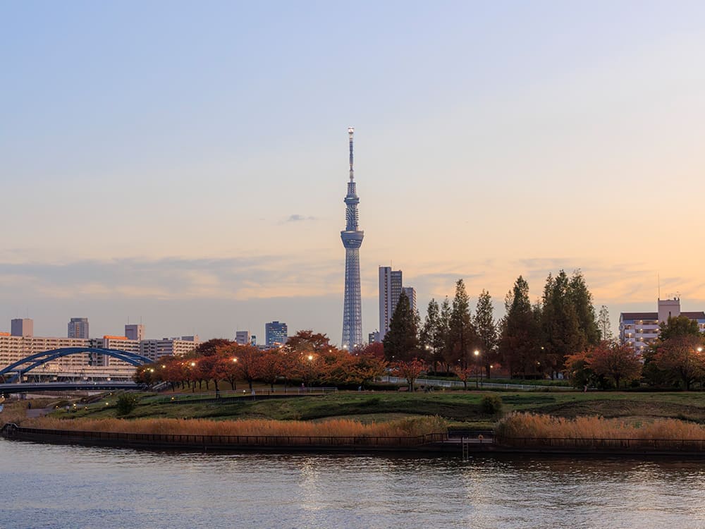 汐入公園