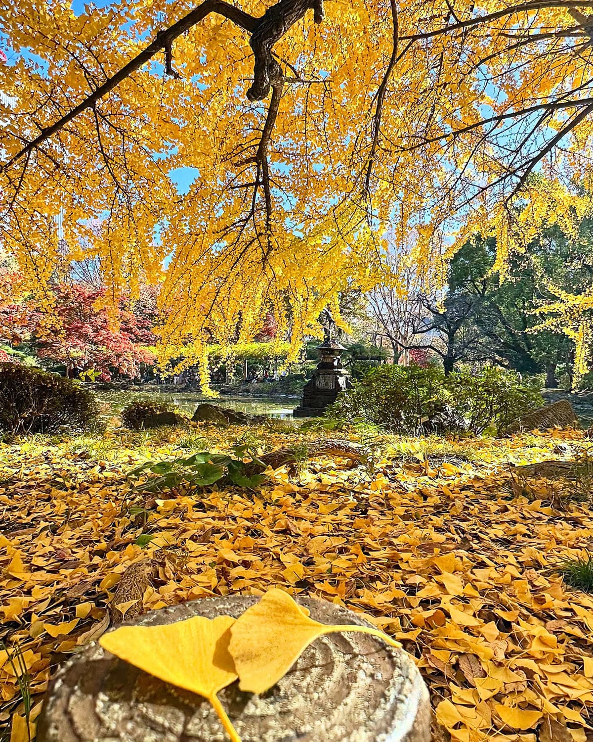 日比谷公園