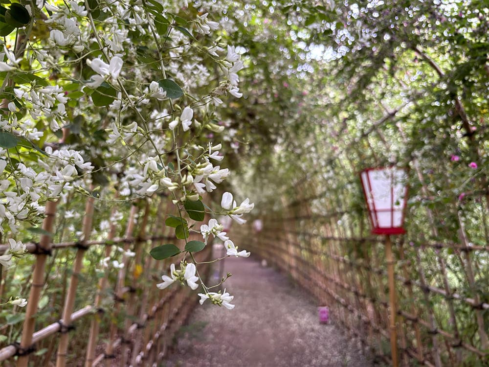 向島百花園