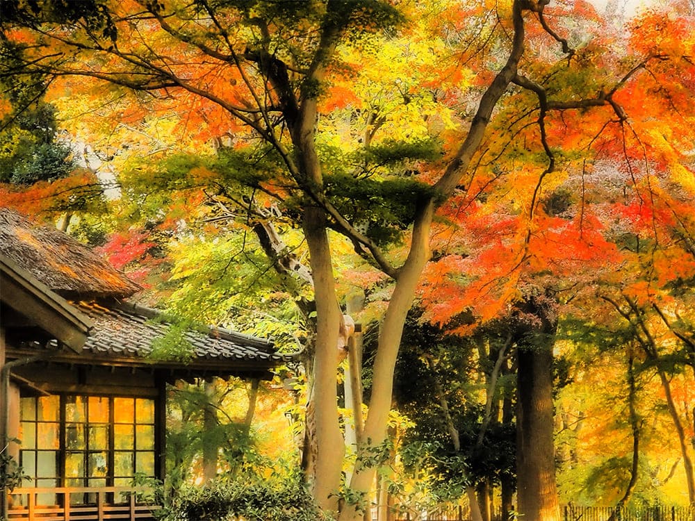 蘆花恒春園