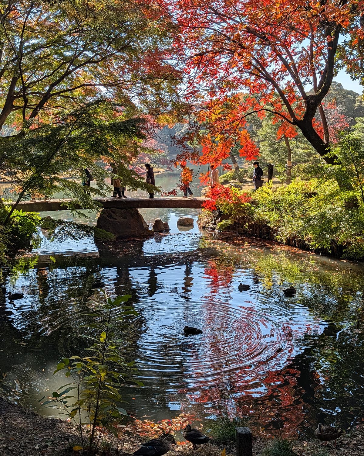六義園
