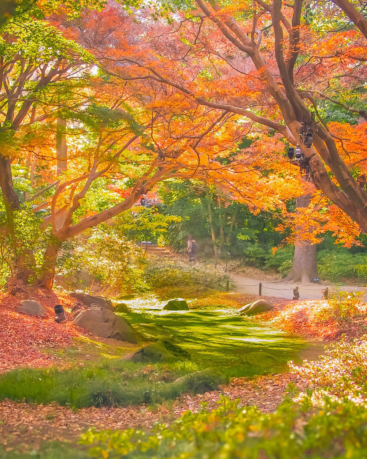 六義園