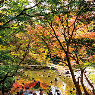 「都立公園・庭園・隅田川でたのしむ秋」