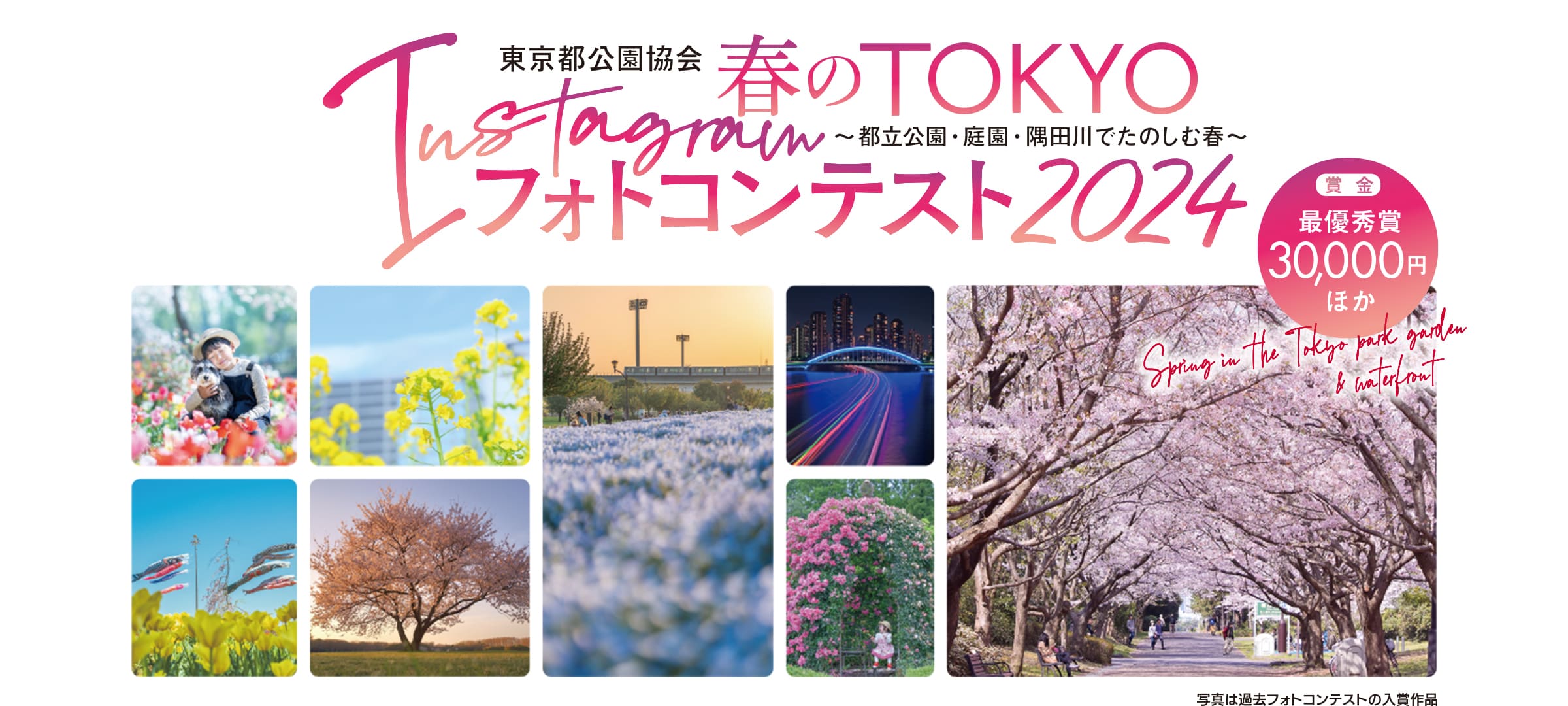 東京都公園協会 春のTOKYO Instagramフォトコンテスト2024