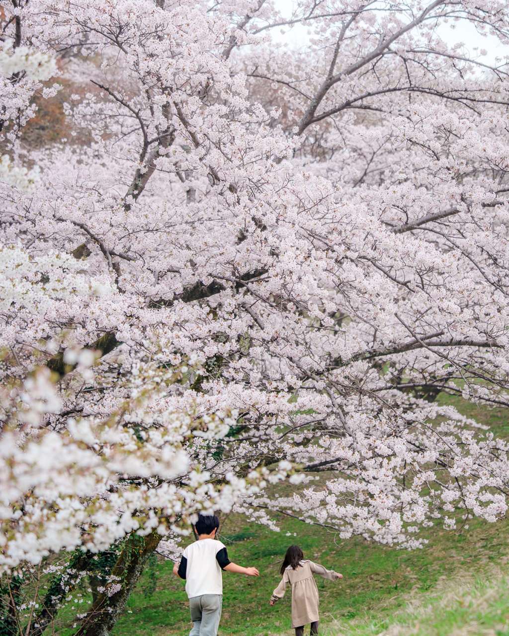 長沼公園