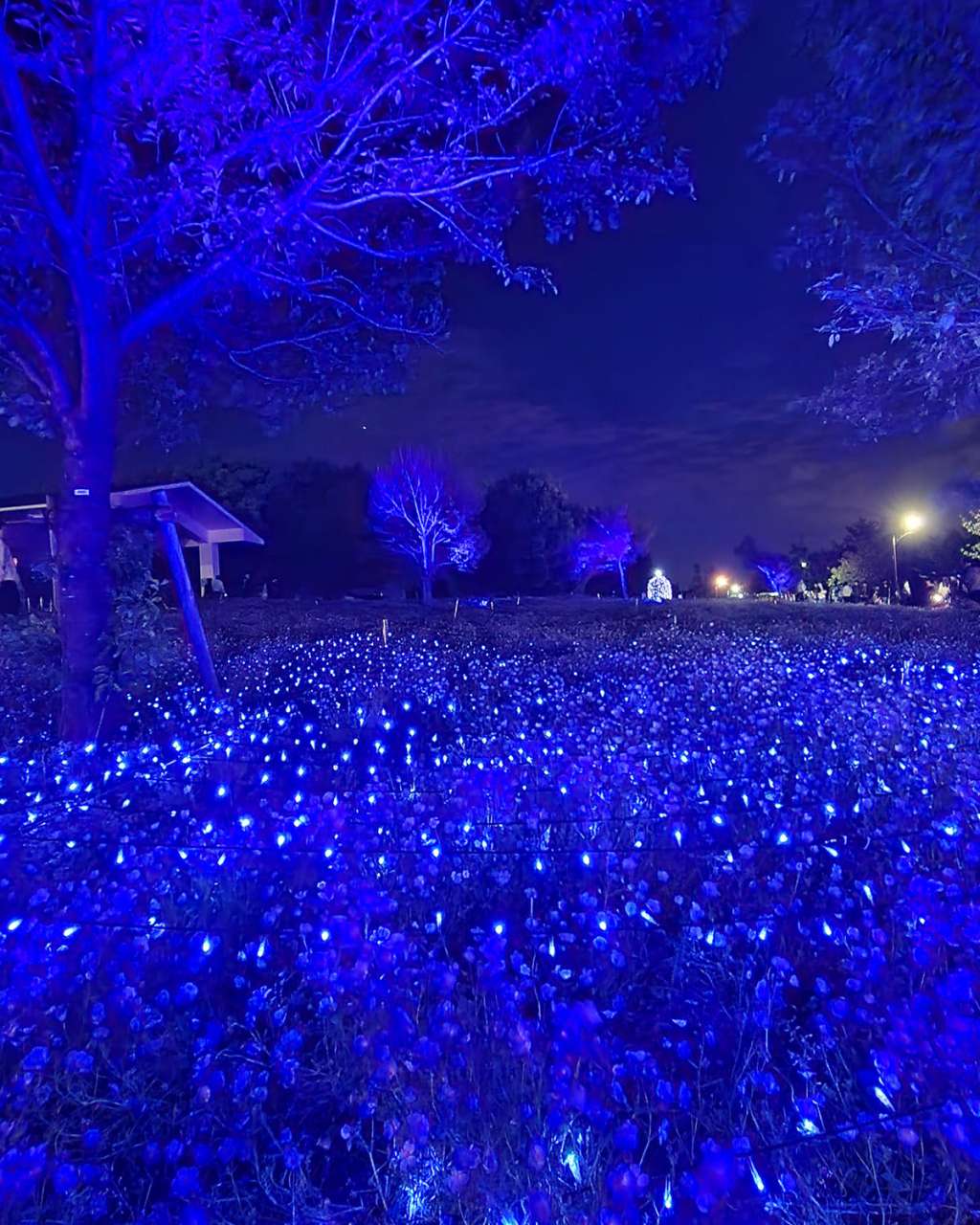 舎人公園