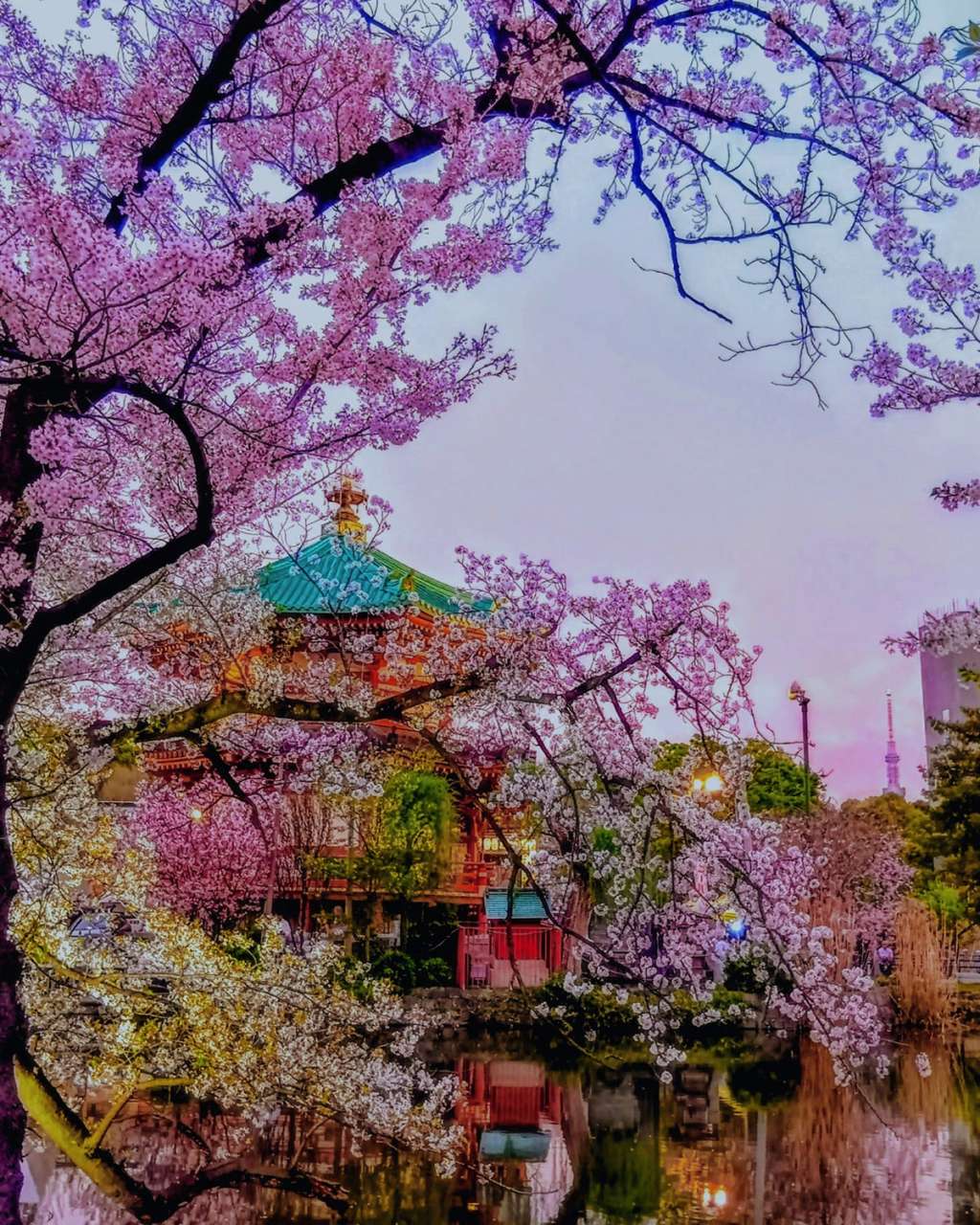 上野恩賜公園