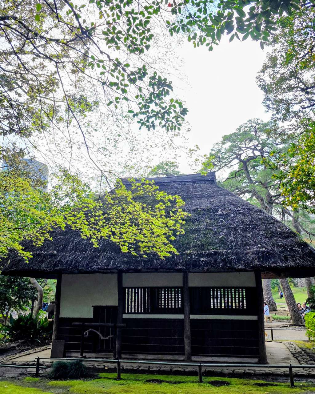 小石川後楽園