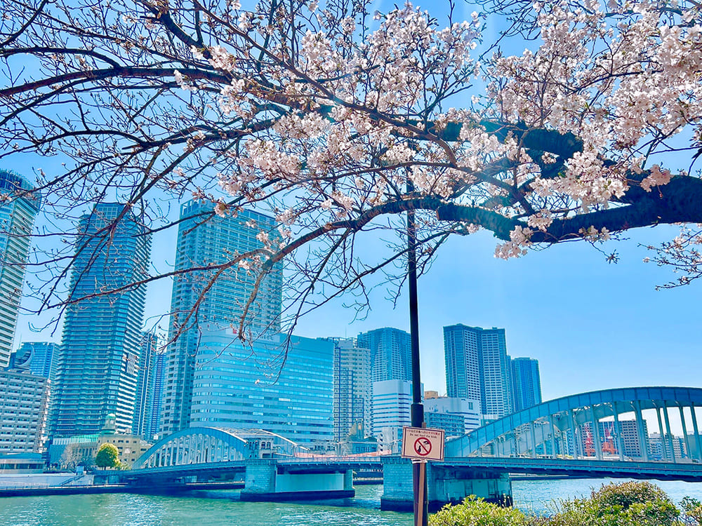 隅田川 勝鬨橋