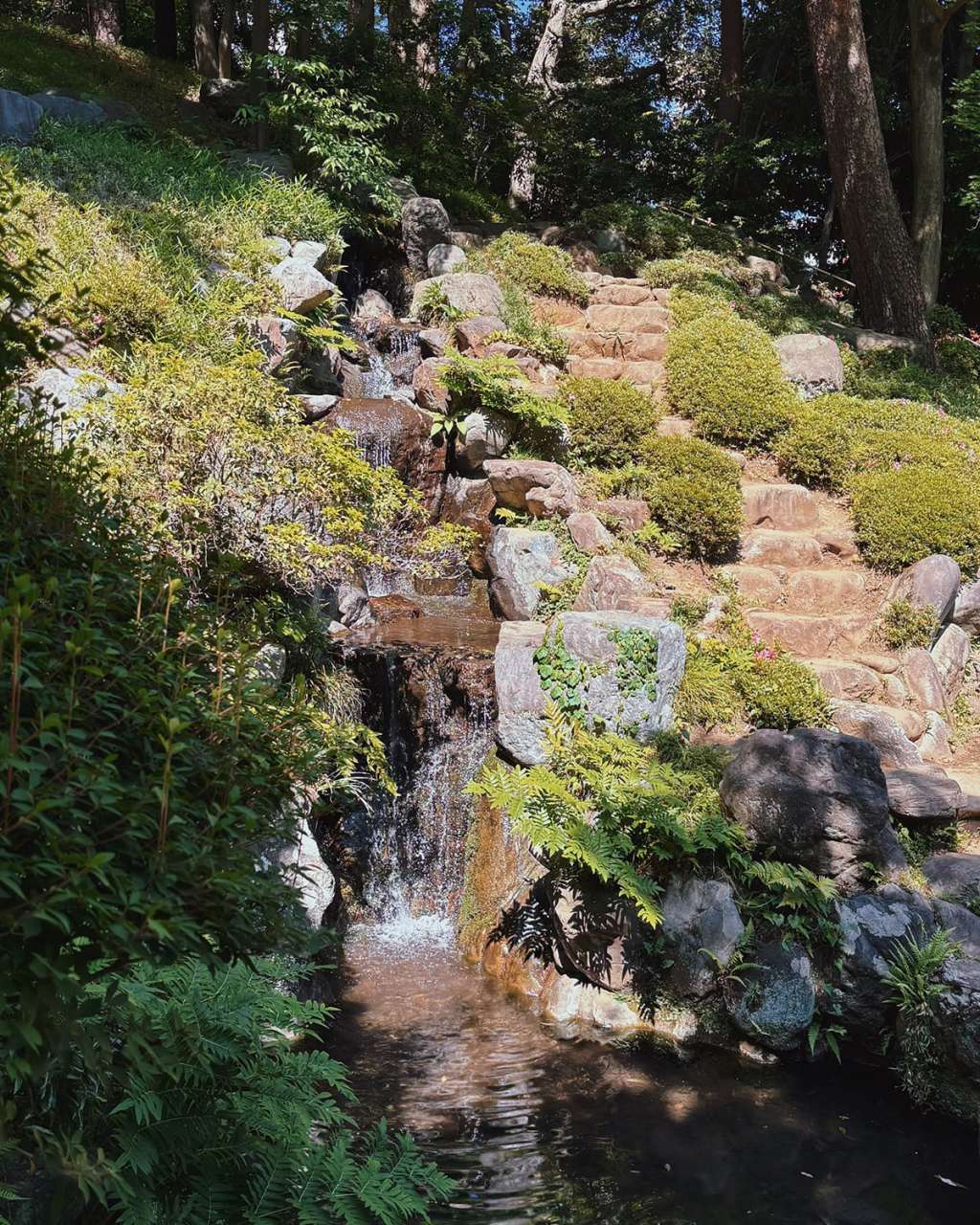 殿ヶ谷戸公園