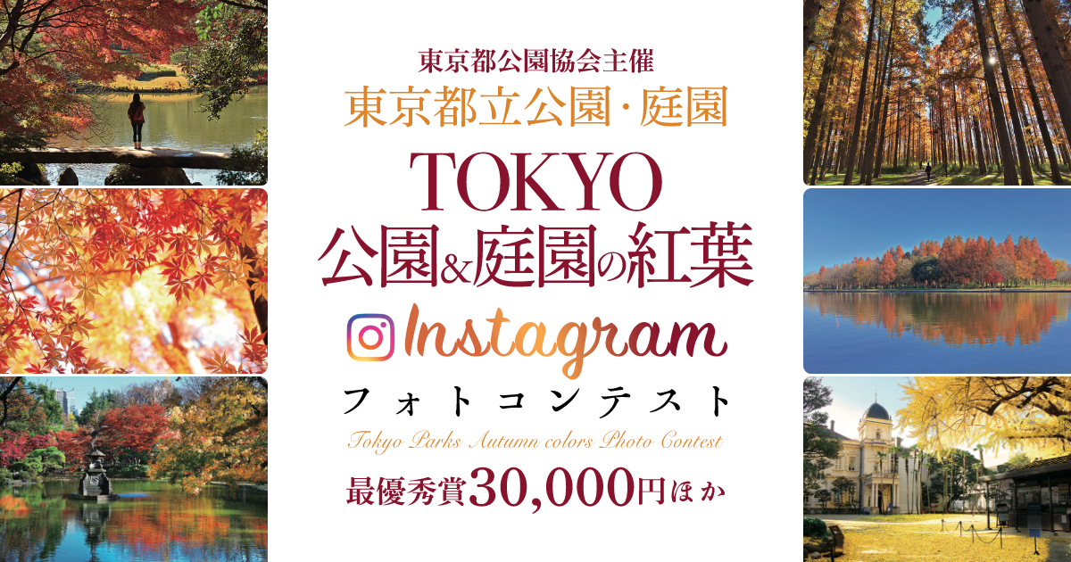 TOKYO公園＆庭園の紅葉 フォトコンテスト