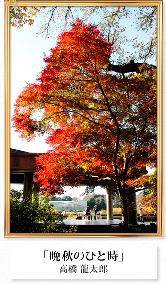 「晩秋のひと時」高橋 龍太郎
