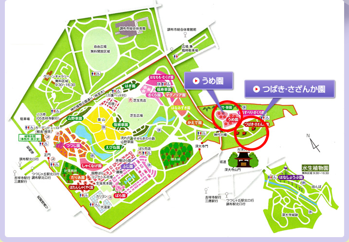 園内マップ