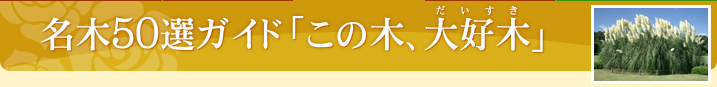名木50選ガイド「この木、大好木（だいすき）」