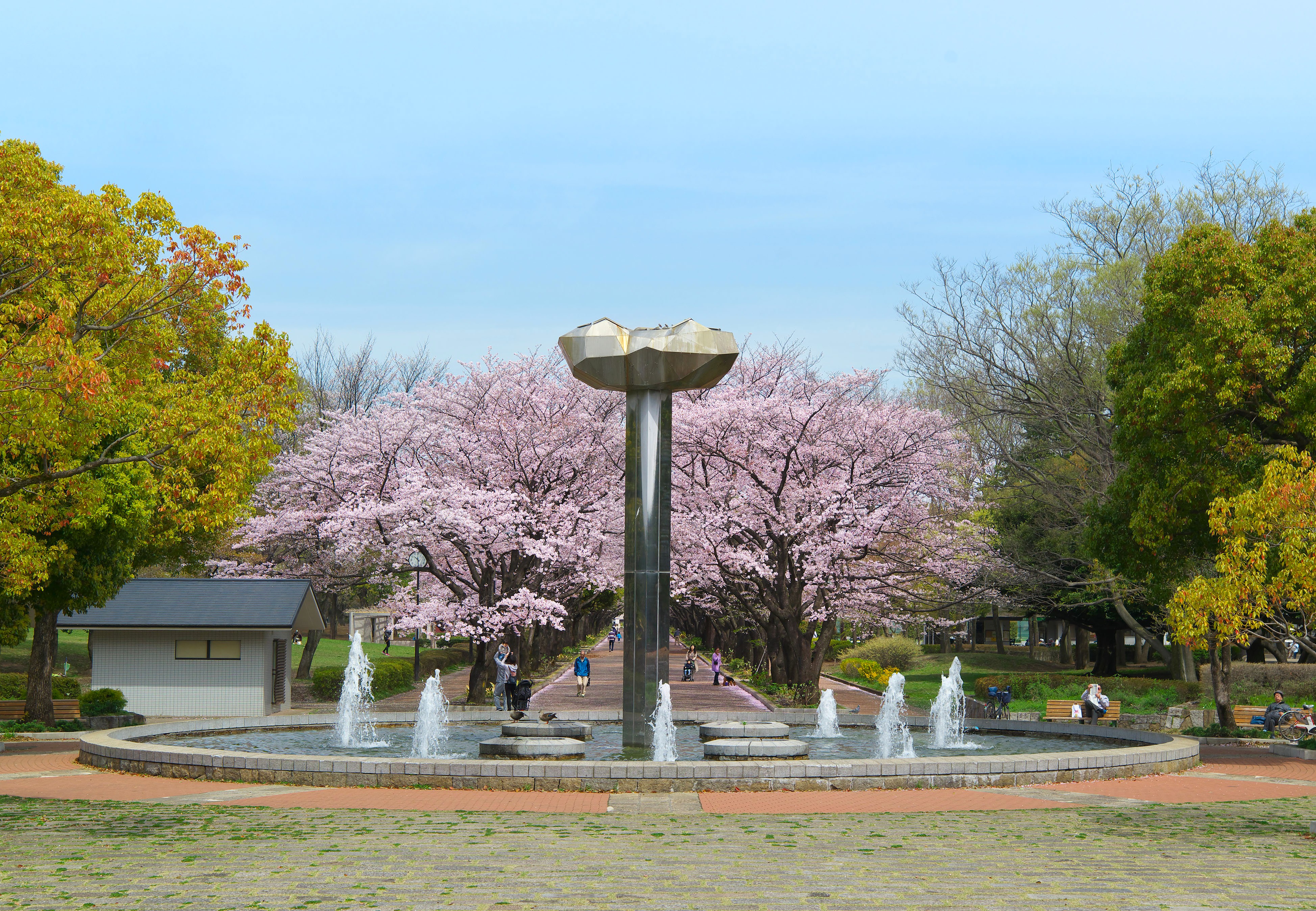 府中の森公園 桜並木