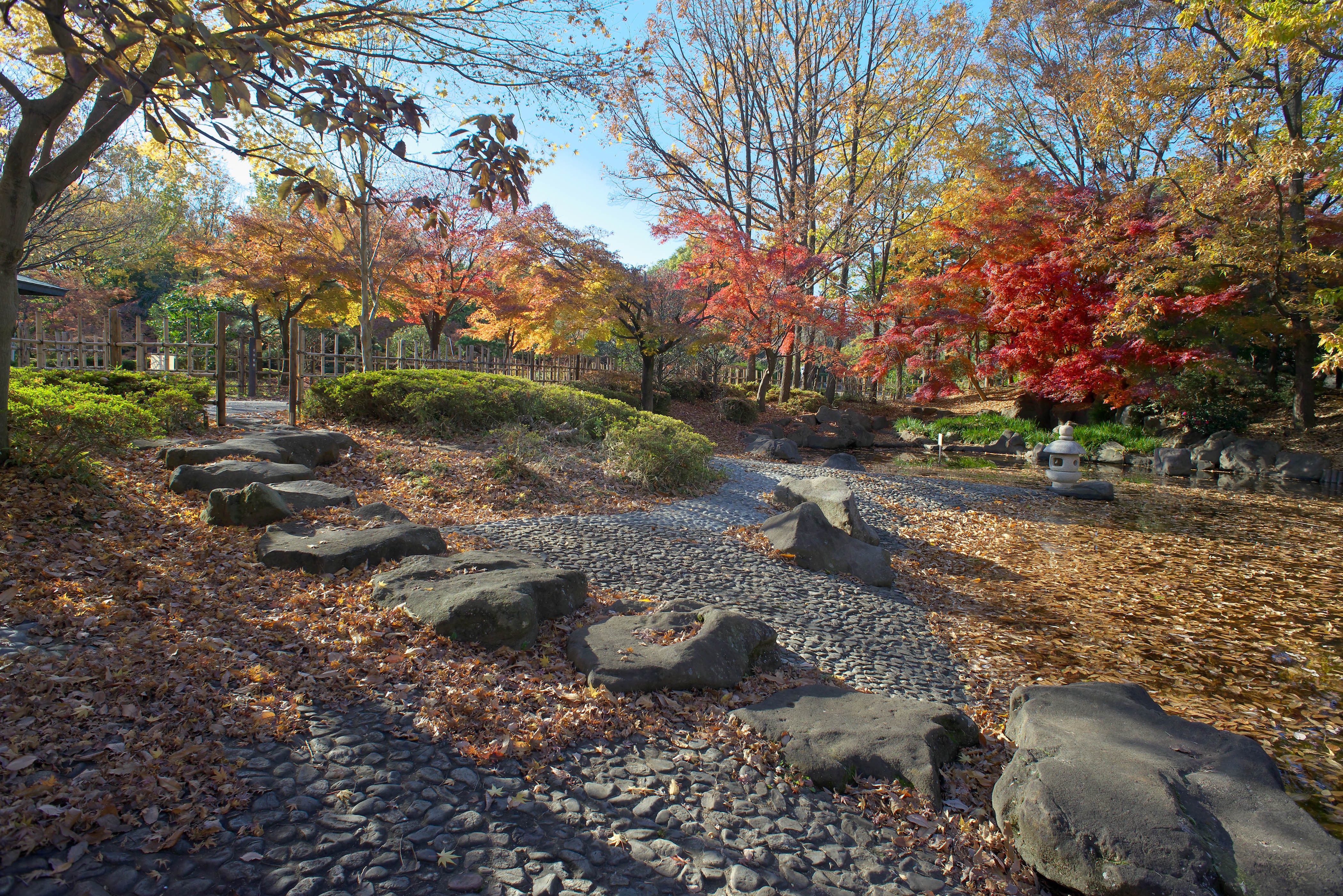 府中の森公園 紅葉