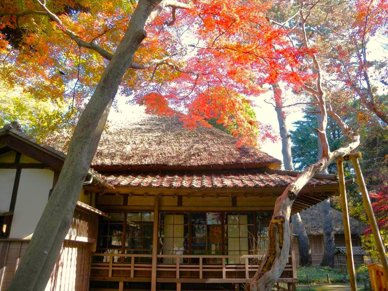 蘆花恒春園 かやぶき屋根
