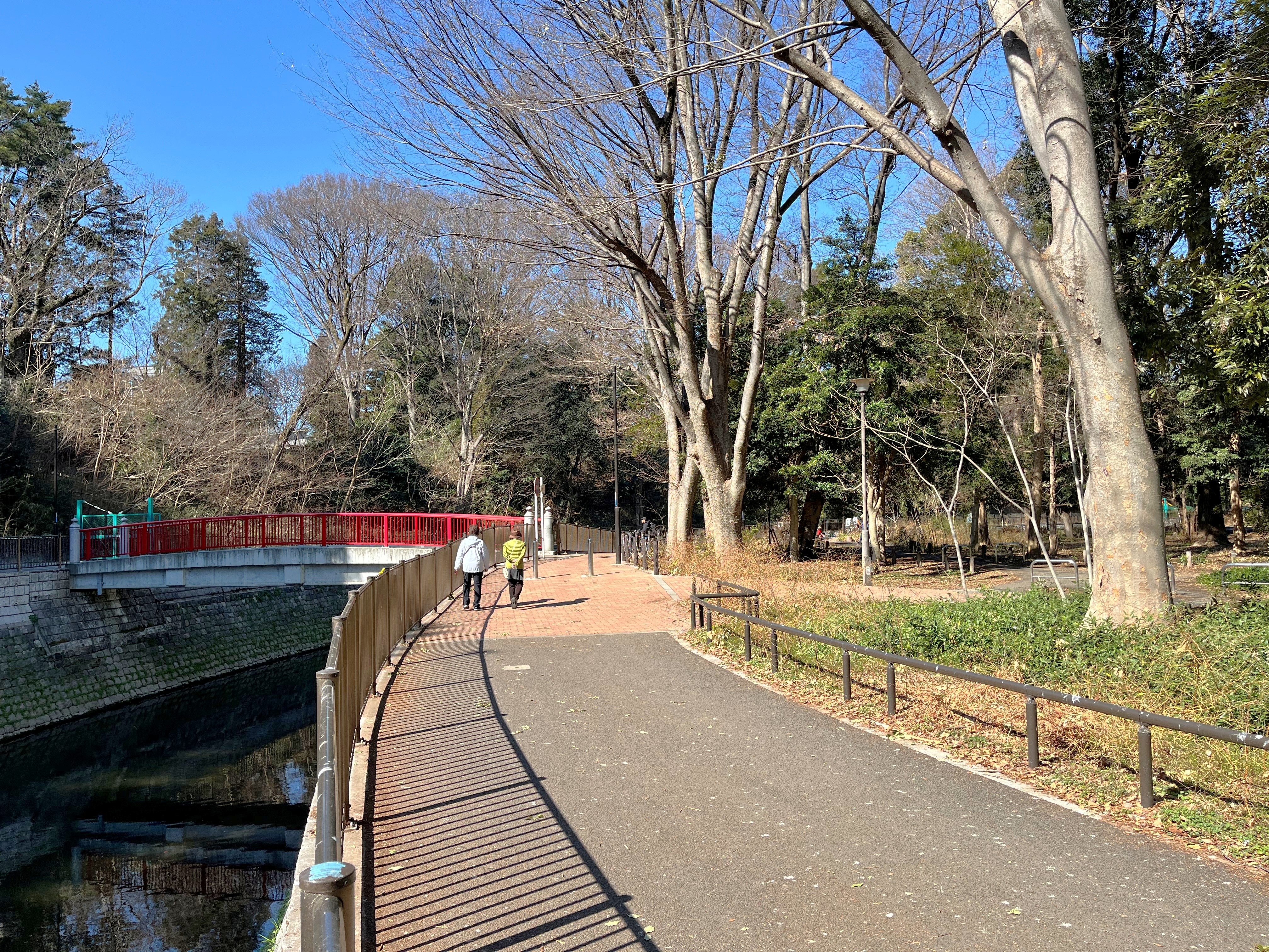 和田堀公園 自然林