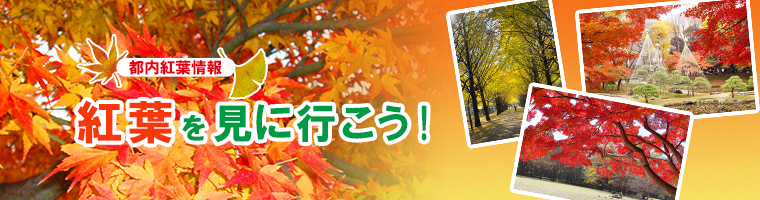 都内紅葉情報 紅葉を見に行こう 公園へ行こう