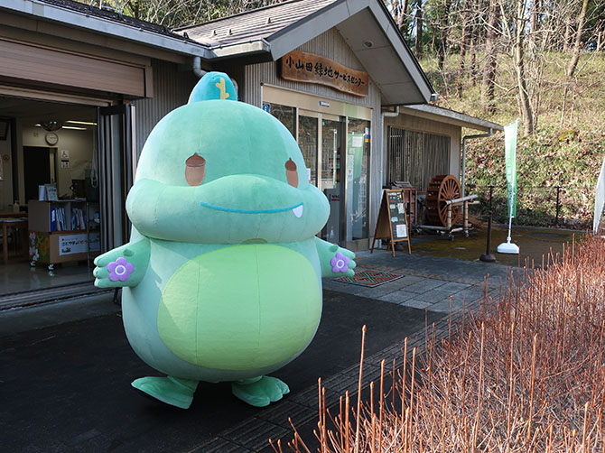 小山田緑地のたまきょうりゅう