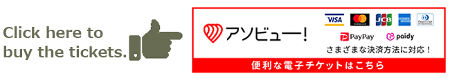 asoview! multilingual ticket