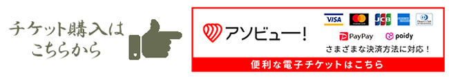 アソビューチケット 日本語版