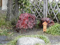 Meiseki