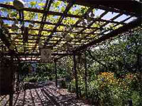 Pergola de fleurs
