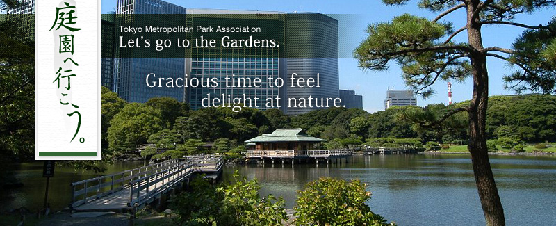Hama-rikyu Gardens
