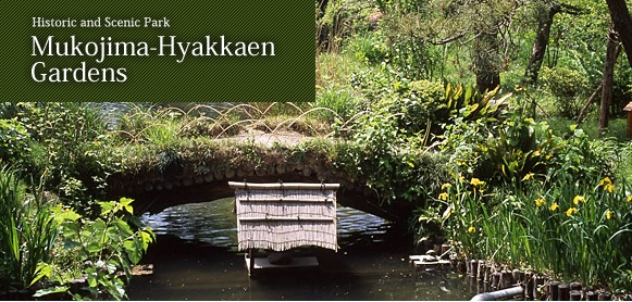 Historic and Scenic Park Mukojima-Hyakkaen Gardens