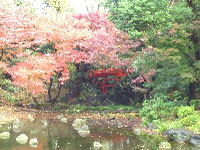 Tsuten-kyo
