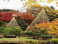Jard&iacute;n japon&eacute;s