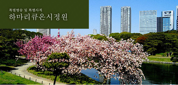 특별명승 및 특별사적 하마리큐온시정원